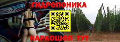 гашик Донецк