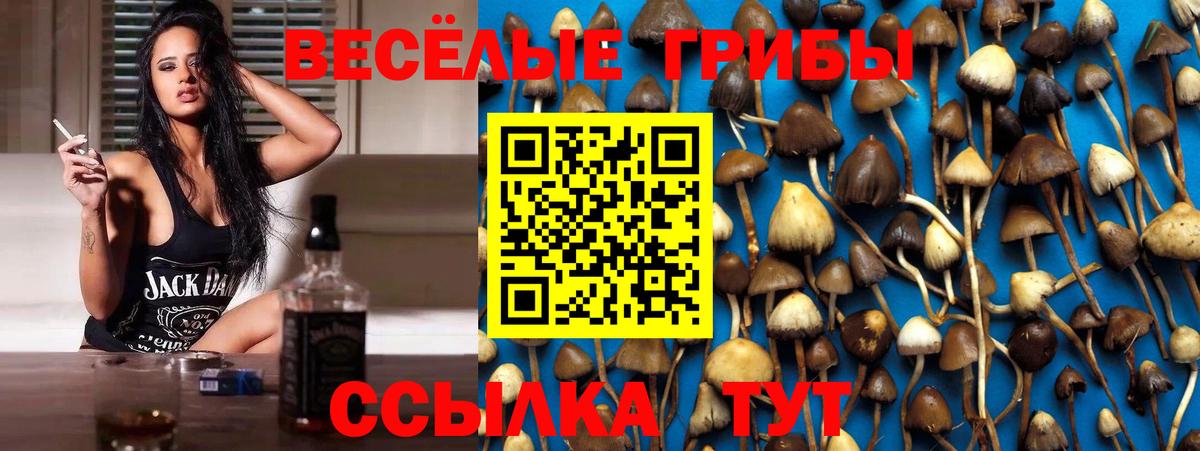 Галлюциногенные грибы Psilocybe  Вход с VPN  Кандалакша  Псилоцибиновые грибы Psilocybine cubensis 